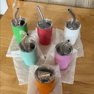 Colorful Stainless Steel Mini Tumblers with Straws